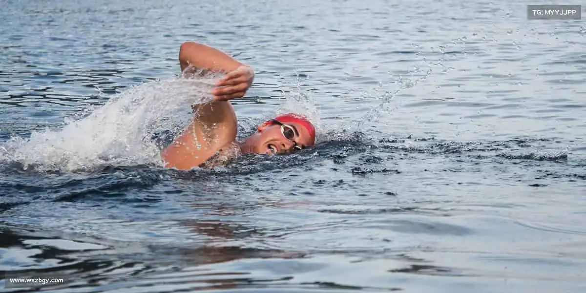 行业领先的理由